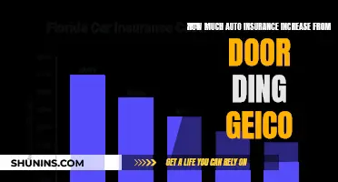 Door Ding: GEICO Auto Insurance Increase Explained