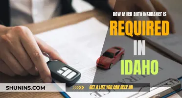 Idaho Auto Insurance: Understanding the Minimum Coverage Requirements