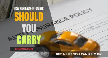 Auto Insurance: How Much Coverage Do You Need?