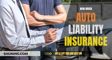 Liability Insurance: How Much Auto Coverage?