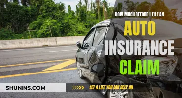 When to File an Auto Insurance Claim