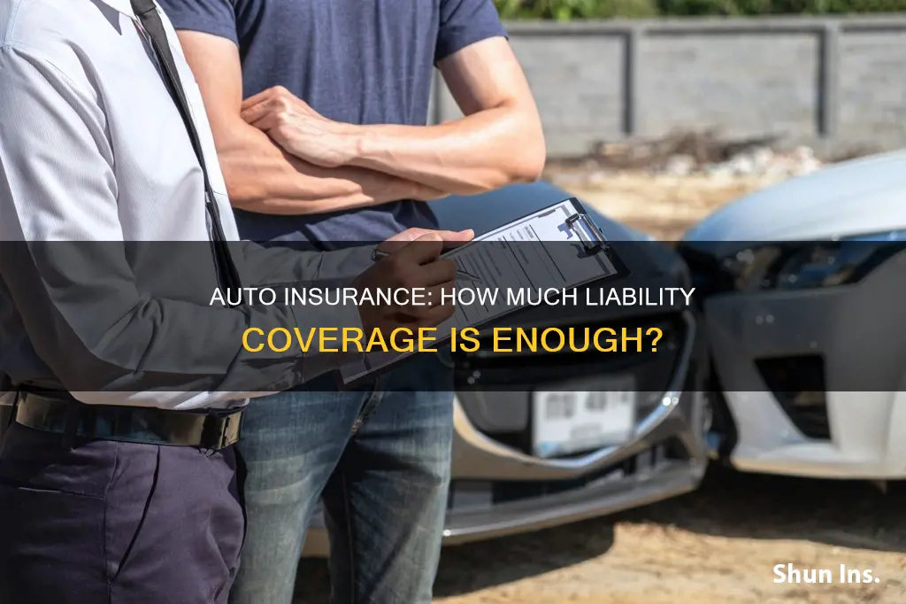 how much bil auto insurance should I get