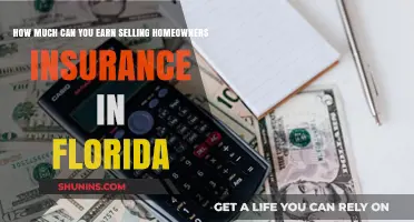 Lucrative Earnings from Selling Home Insurance in Florida