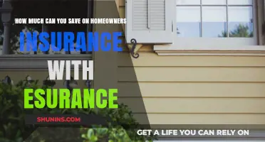 Esurance: Save Big on Homeowners Insurance
