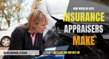 Auto Insurance Appraisers: Salary Insights