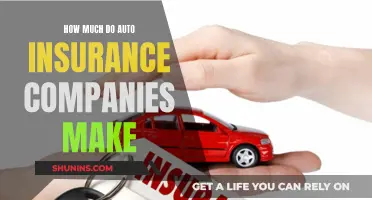 Auto Insurance Companies: Billions Made, but How?