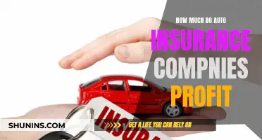 Auto Insurance Companies: How Much Profit Do They Make?