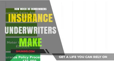 Underwriters' Salaries: Home Insurance Sector