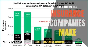 Medical Insurance Companies: Billion-Dollar Revenue and Counting