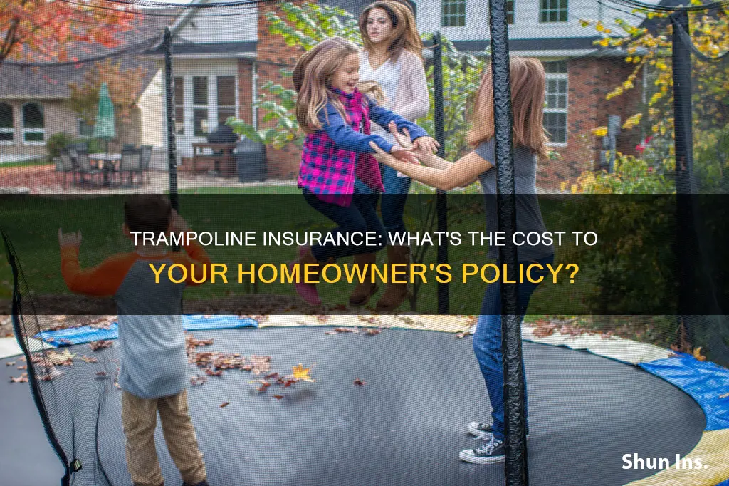 how much does a trampoline add to homeowners insurance