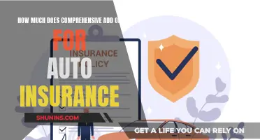 Auto Insurance Comprehensive Add-On: How Much Does It Cost?