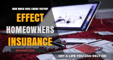 Credit History: Impacting Home Insurance Costs