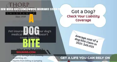 Home Insurance: Dog Bite Claims and Coverage