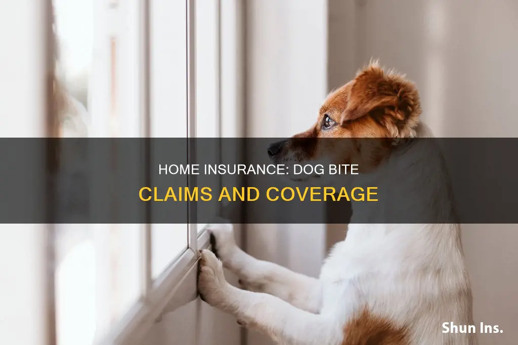 how much does homeowners insurance cover for a dog bite