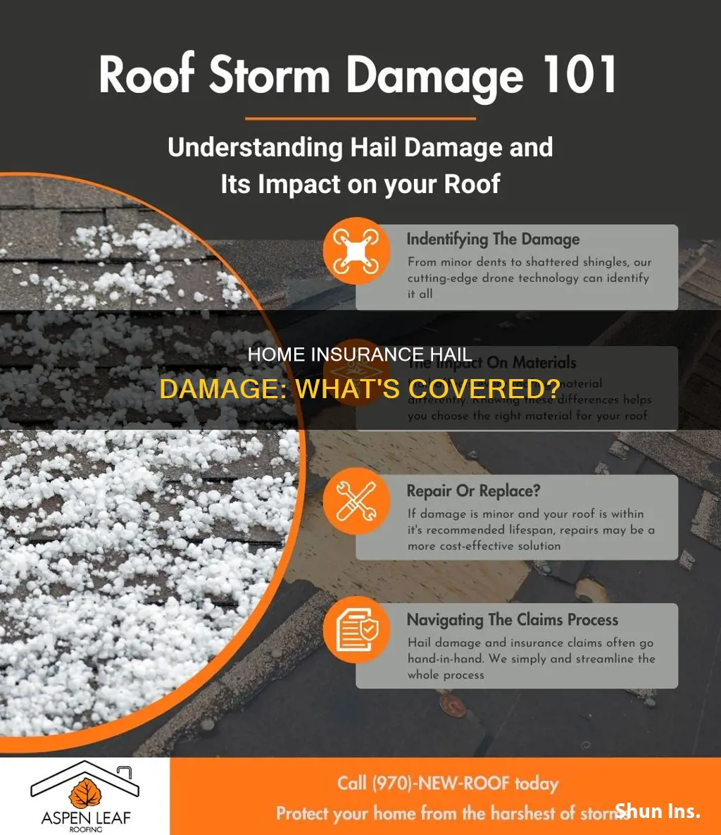 how much does homeowners insurance cover for hail damaage