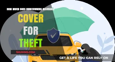 Theft Coverage: What Does Home Insurance Actually Cover?