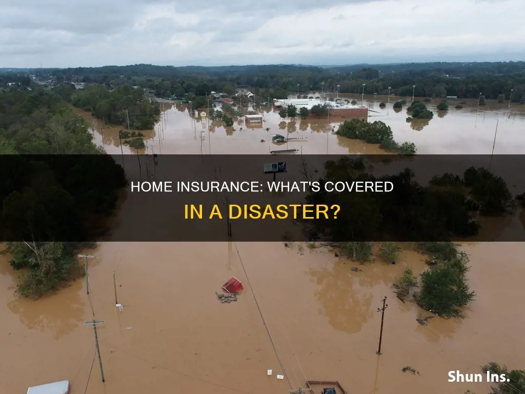 how much does homeowners insurance cover in a disaster