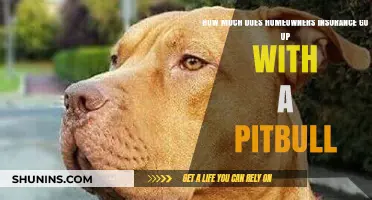 Insuring Your Home With a Pitbull: Cost Implications