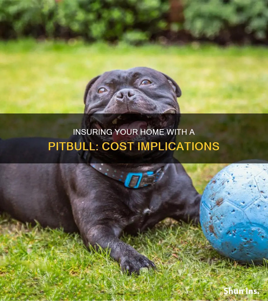 how much does homeowners insurance go up with a pitbull