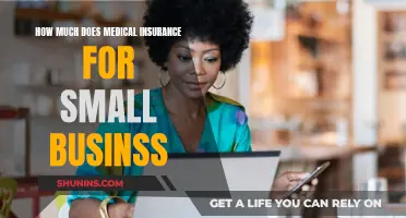 Small Business Guide to Medical Insurance Costs