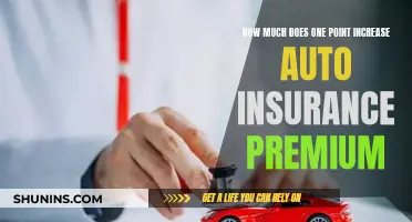 Auto Insurance Premium: The Cost of a Single Point