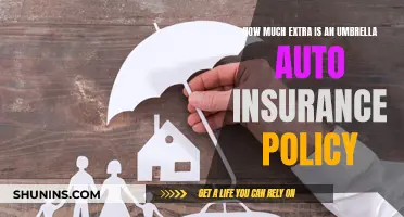 Umbrella Auto Insurance: Is the Extra Cost Worth It?