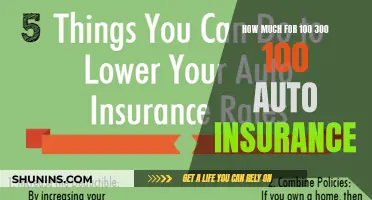 Auto Insurance: Understanding the 100/300/100 Coverage