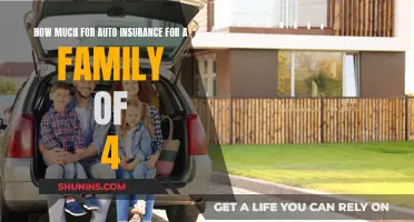 Auto Insurance Costs for a Family of Four