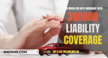 Liability Coverage: How Much Auto Insurance Do You Need?