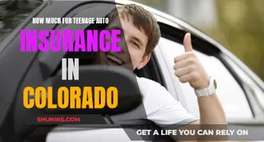 Teenage Auto Insurance in Colorado: What's the Cost?