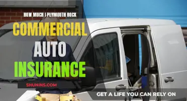 Plymouth Rock Commercial Auto Insurance: How Much is Enough?