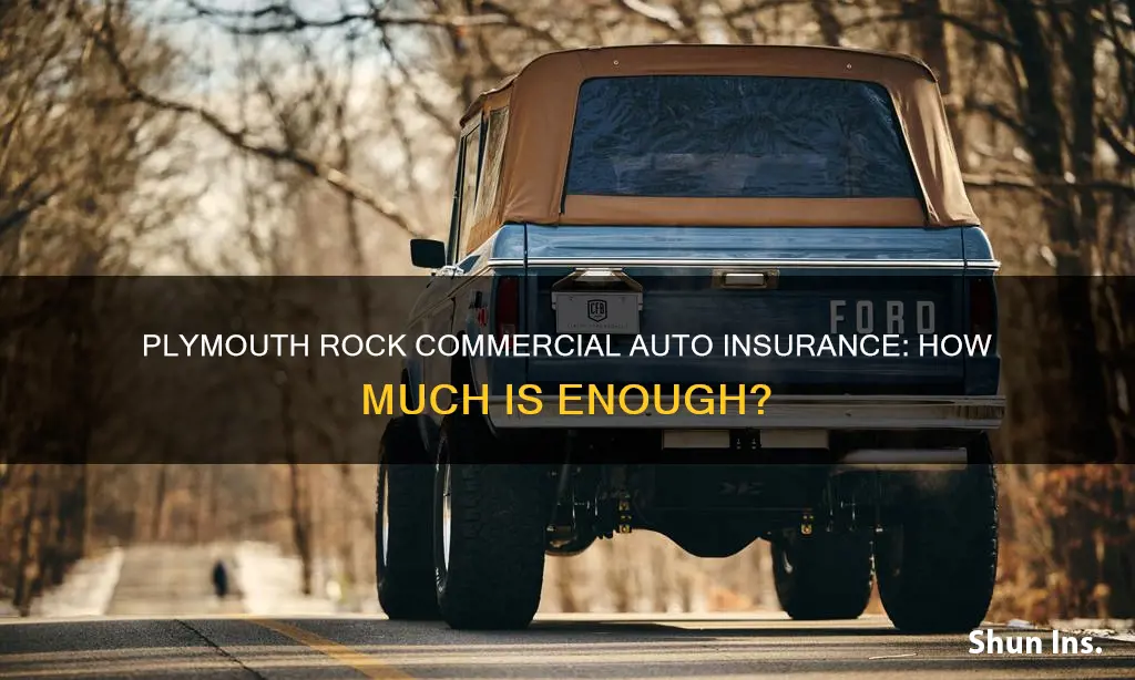 how much I plymouth rock commercial auto insurance