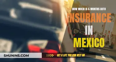 Exploring Mexico: Understanding Auto Insurance for a Six-Month Stay