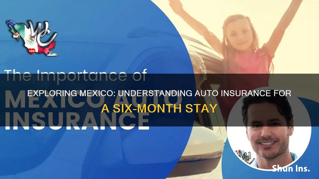 how much is 6 months auto insurance in mexico