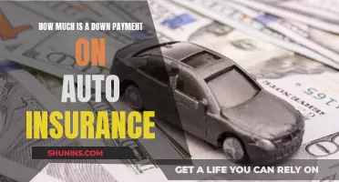 Auto Insurance Down Payments: How Much Do They Cost?