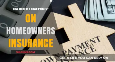 Understanding Down Payments: Homeowners Insurance Costs