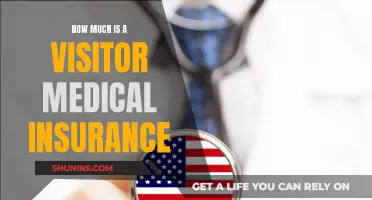 Understanding Visitor Medical Insurance Costs and Coverage