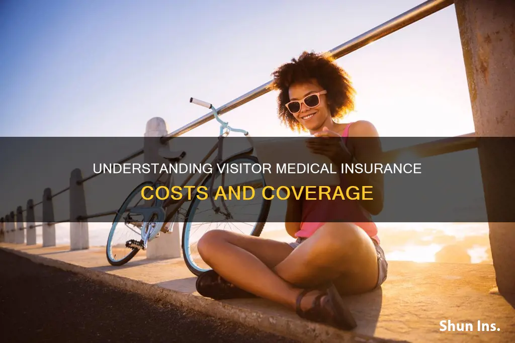 how much is a visitor medical insurance