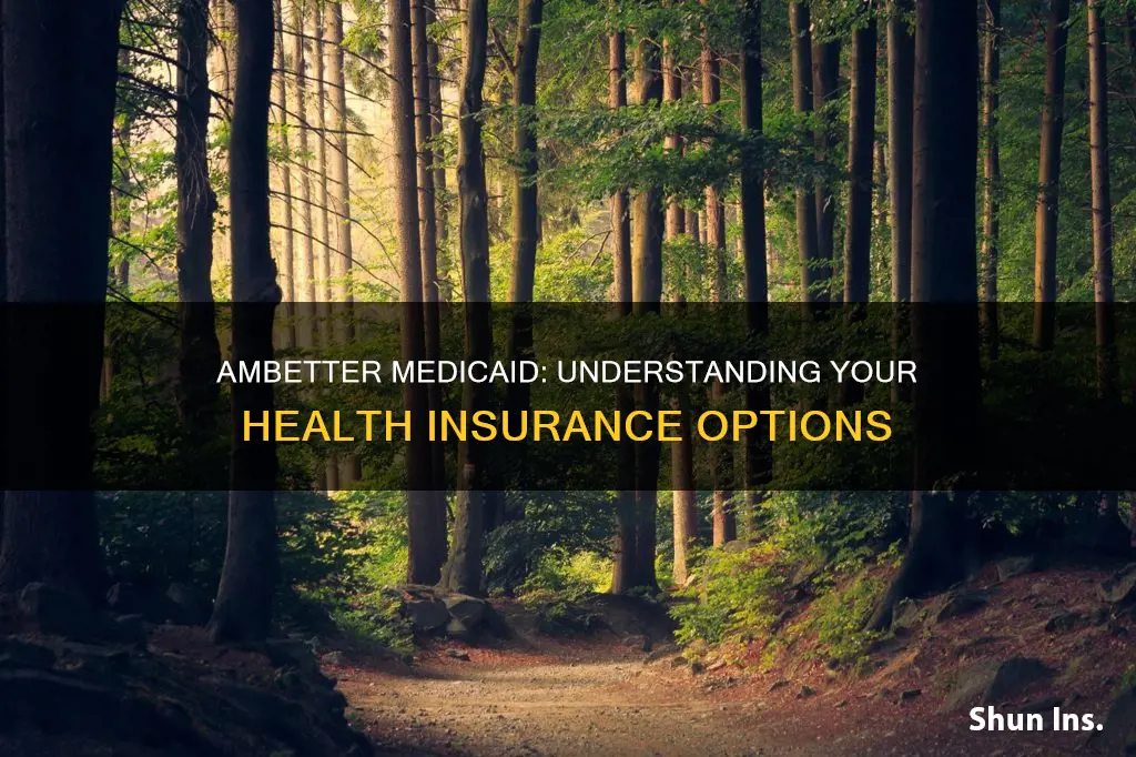 how much is ambetter medicaid health insurance