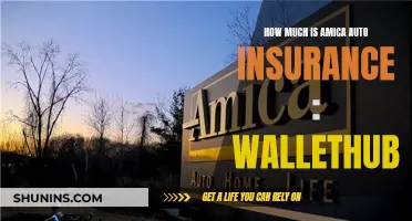 Amica Auto Insurance: Is It Affordable?