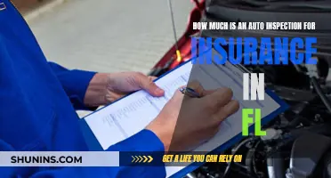 Auto Insurance Inspection: What's the Cost in Florida?