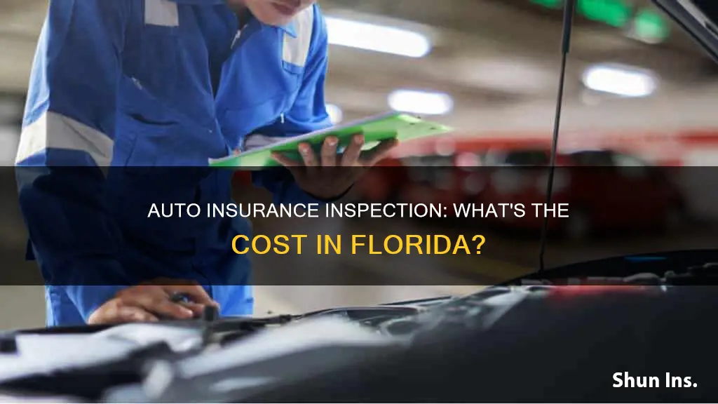 how much is an auto inspection for insurance in fl