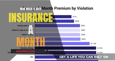 Auto Insurance: Monthly Cost Unveiled