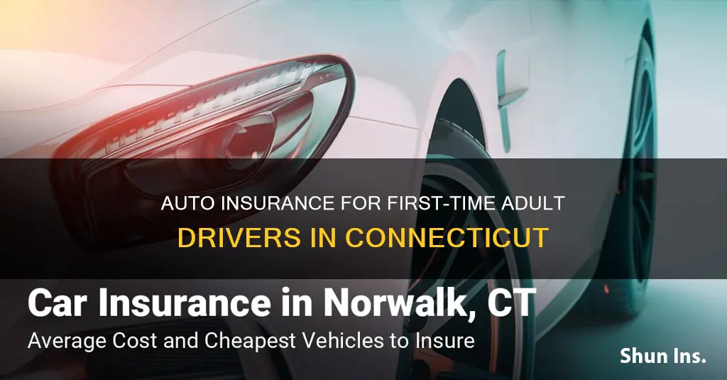 how much is auto insurance ct first time driver adults