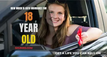 Auto Insurance for Teenagers: Understanding the Costs and Coverage