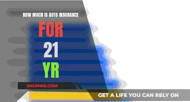 Auto Insurance Costs for 21-Year-Olds: What to Expect