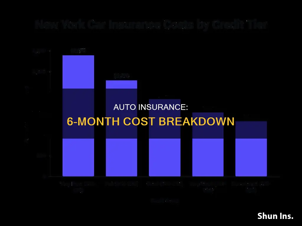 how much is auto insurance for 6 months