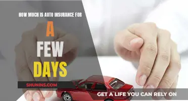 Short-Term Auto Insurance: How Much Does It Cost?