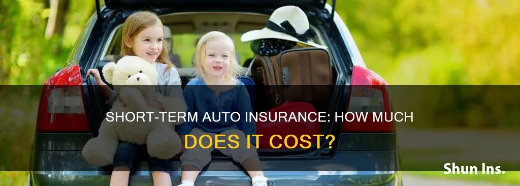 how much is auto insurance for a few days