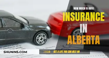 Auto Insurance in Alberta: How Much Does It Cost?